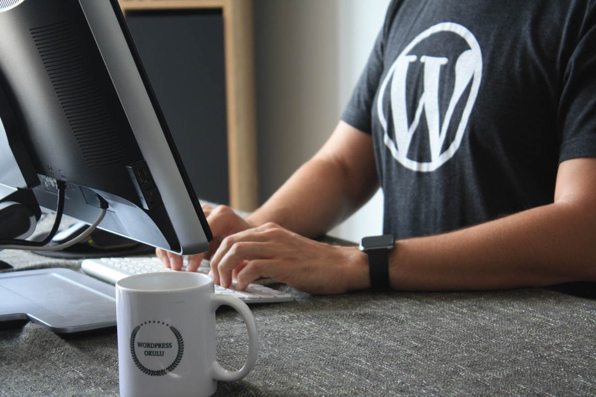 What is WordPress and How to Get Started on Your Own
